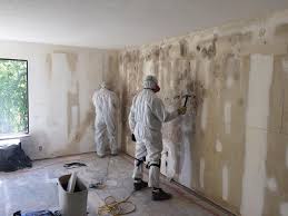 Best Black Mold Removal  in Shawnee Hills, OH